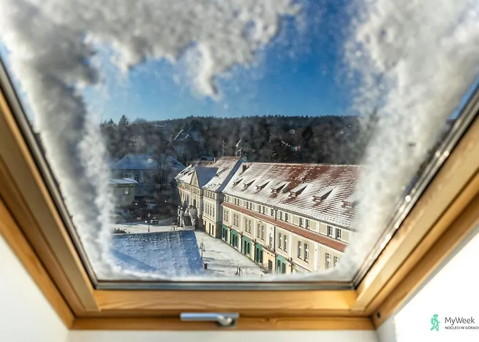 Wood & Sauna Ogrody Pieniawskie, Myweek *