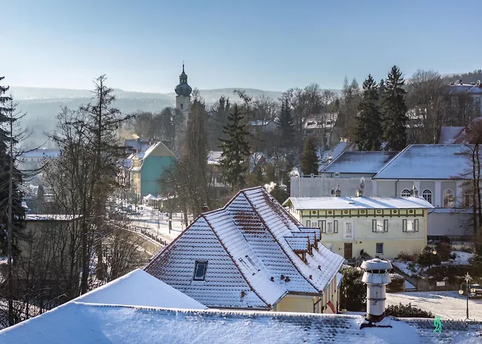 Wood & Sauna Ogrody Pieniawskie, Myweek Апартаменты *